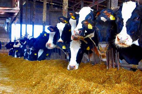 画像の説明 画像の説明